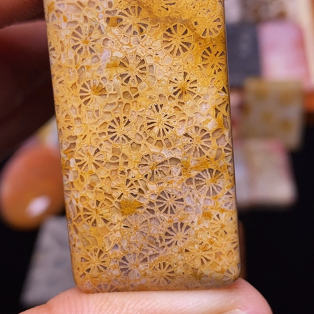 堇***y硅化玉合金珊瑚玉