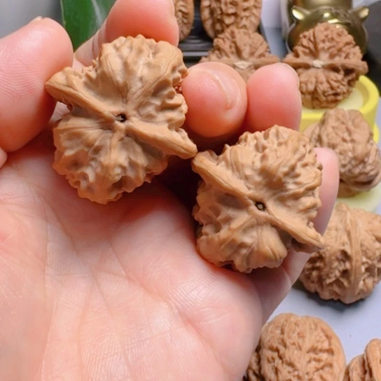 野狼骨质好文玩核桃