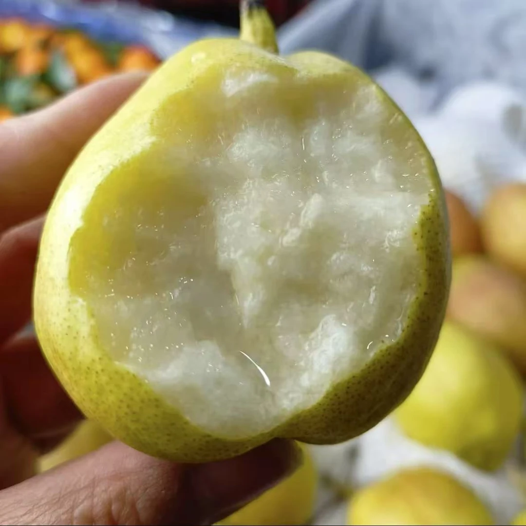 【坏果包赔】新疆库尔勒香梨一箱净重4斤