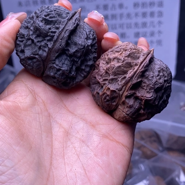 核桃云南野生铁核桃157号44mm