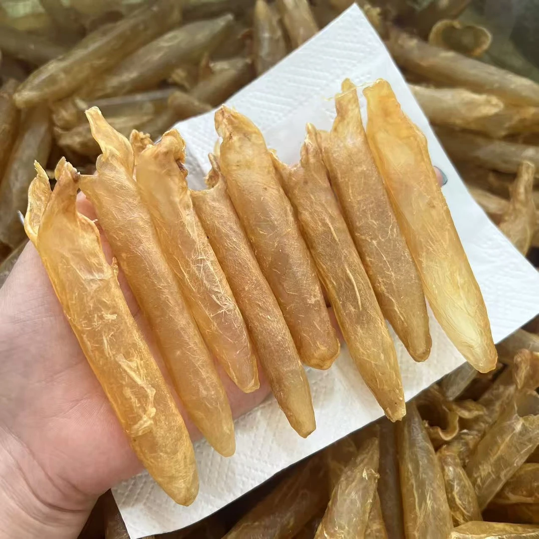 180头黄花胶 鱼胶 原色货