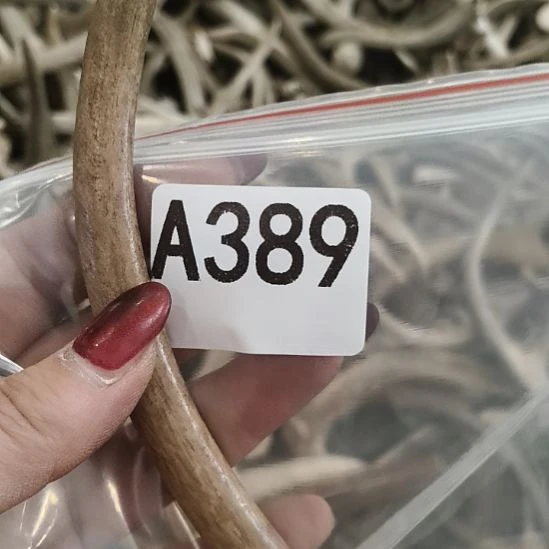 喵***鹿角鹿角鹿角鹿角鹿角