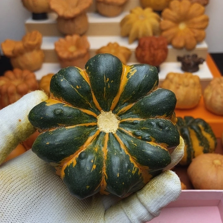 福利福利福利福利