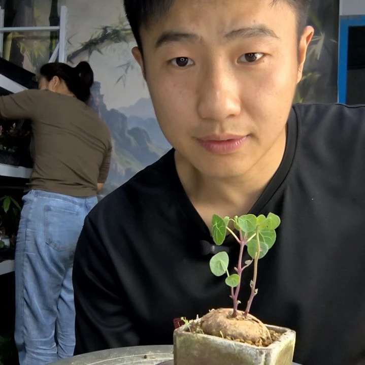 奕****️中青园艺一物一拍150