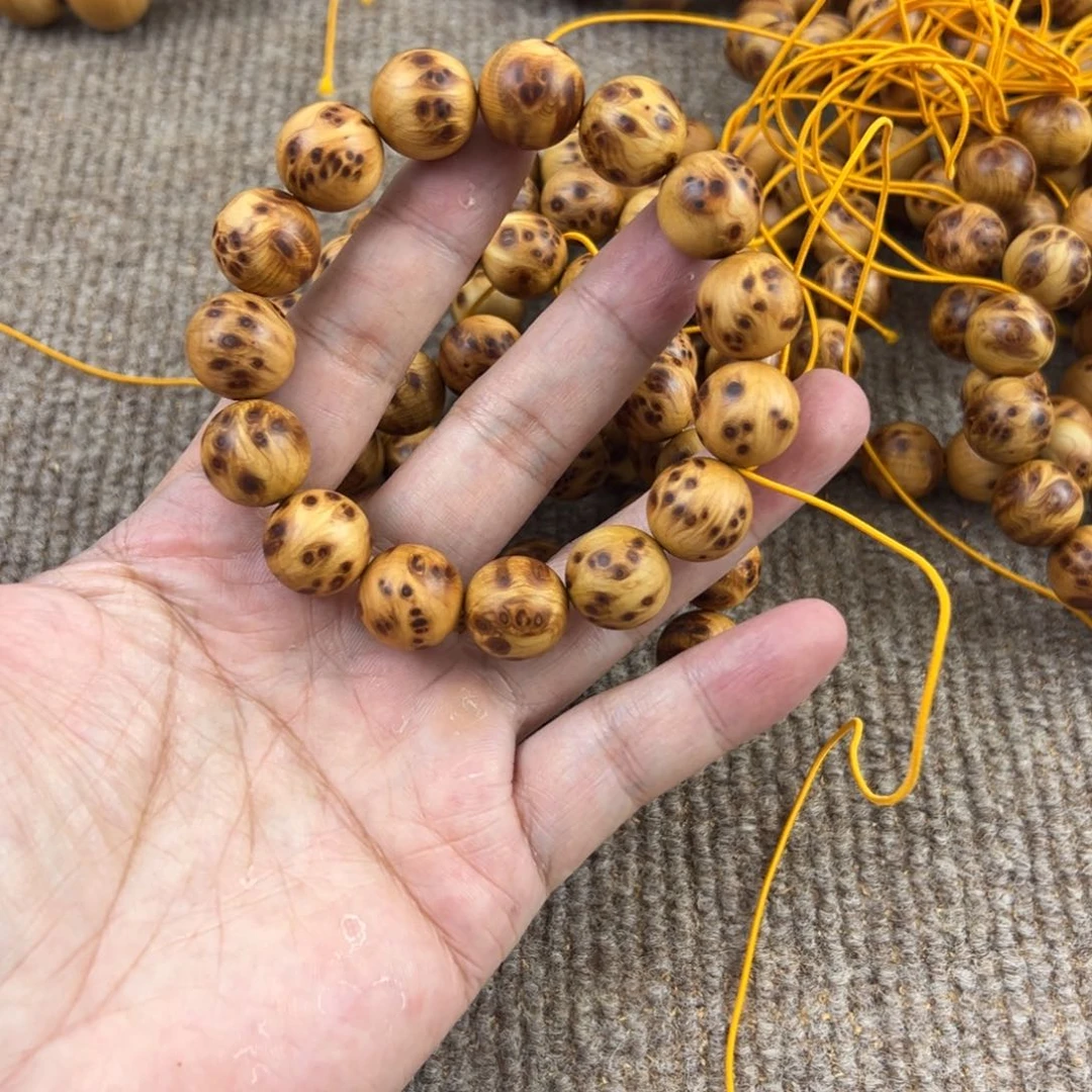 木太行崖柏1.5。。。。。。。。。