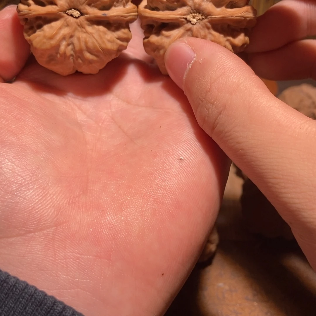 起***…吊坠文玩核桃蛤蟆头D15