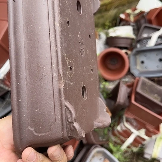 是一个不知名作家与著名导演兼