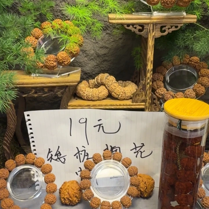 陶***）手串金刚菩提龙源梅花原生态