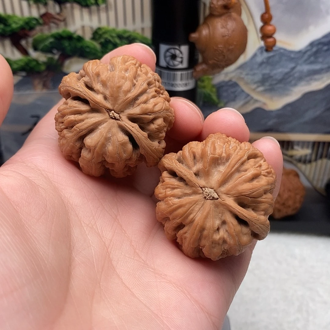 蛋***多39加粗筋文玩核桃