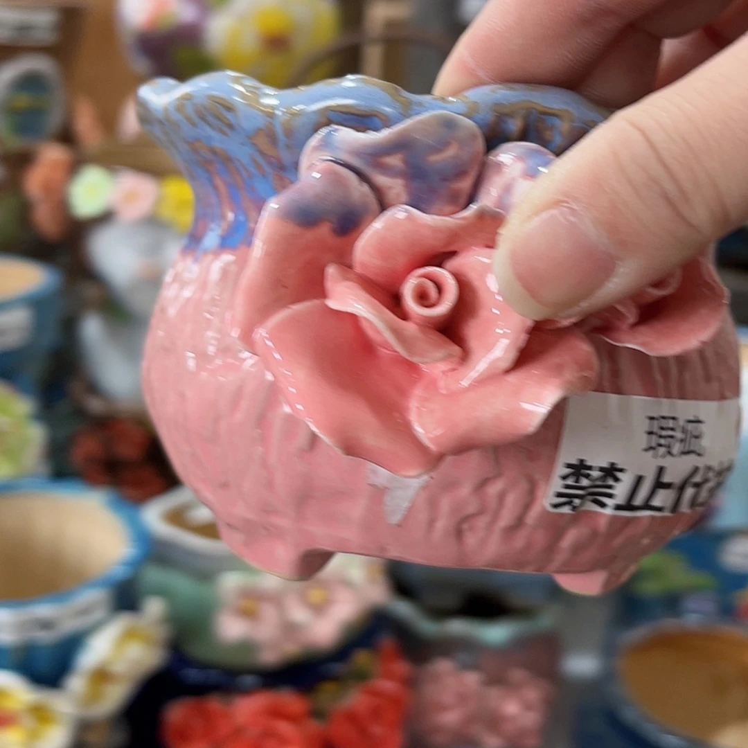 【闪购商品】红陶福利