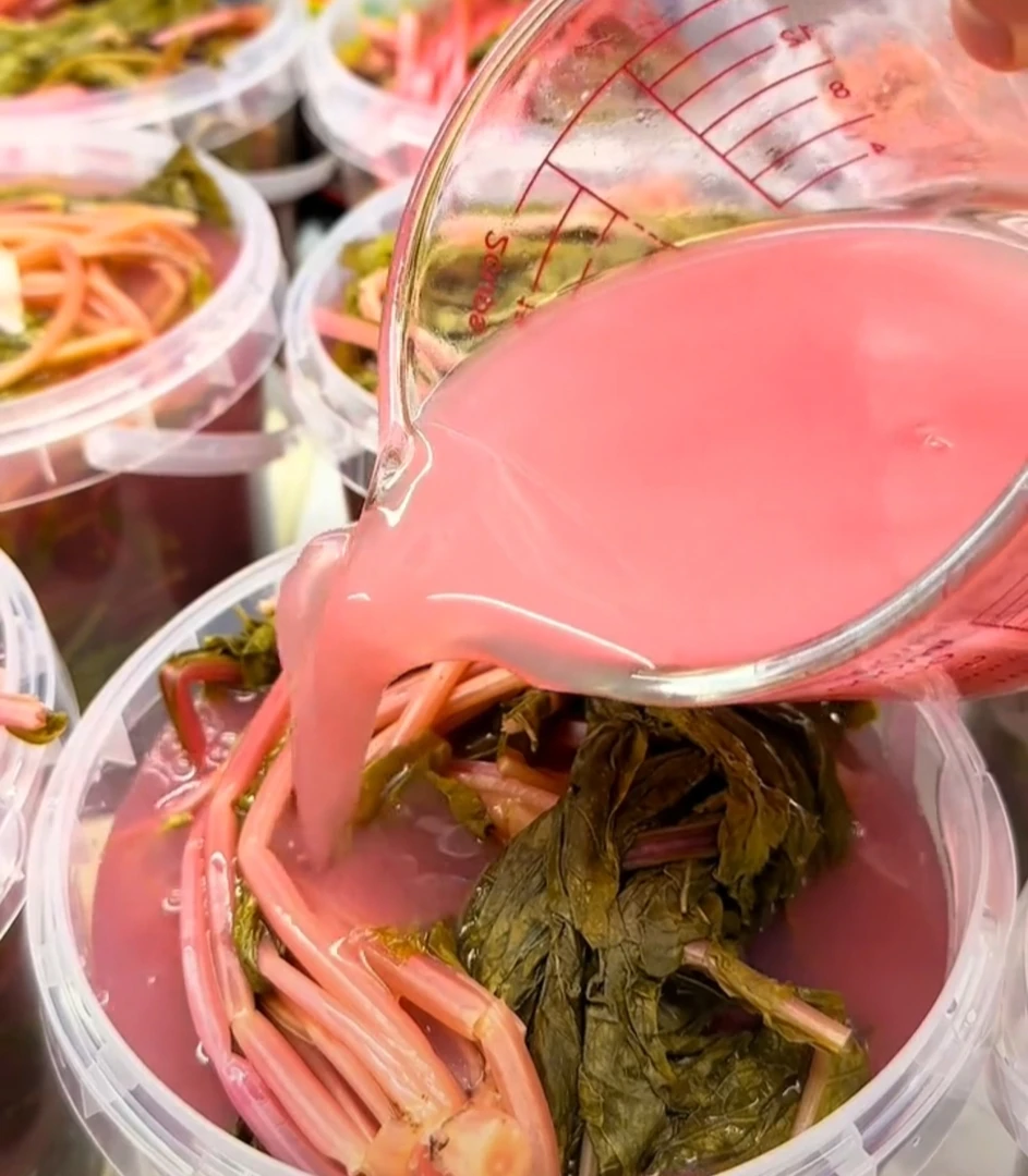 陕西安康萝卜缨包菜盖菜野油菜浆水酸菜安康风味安康酸菜