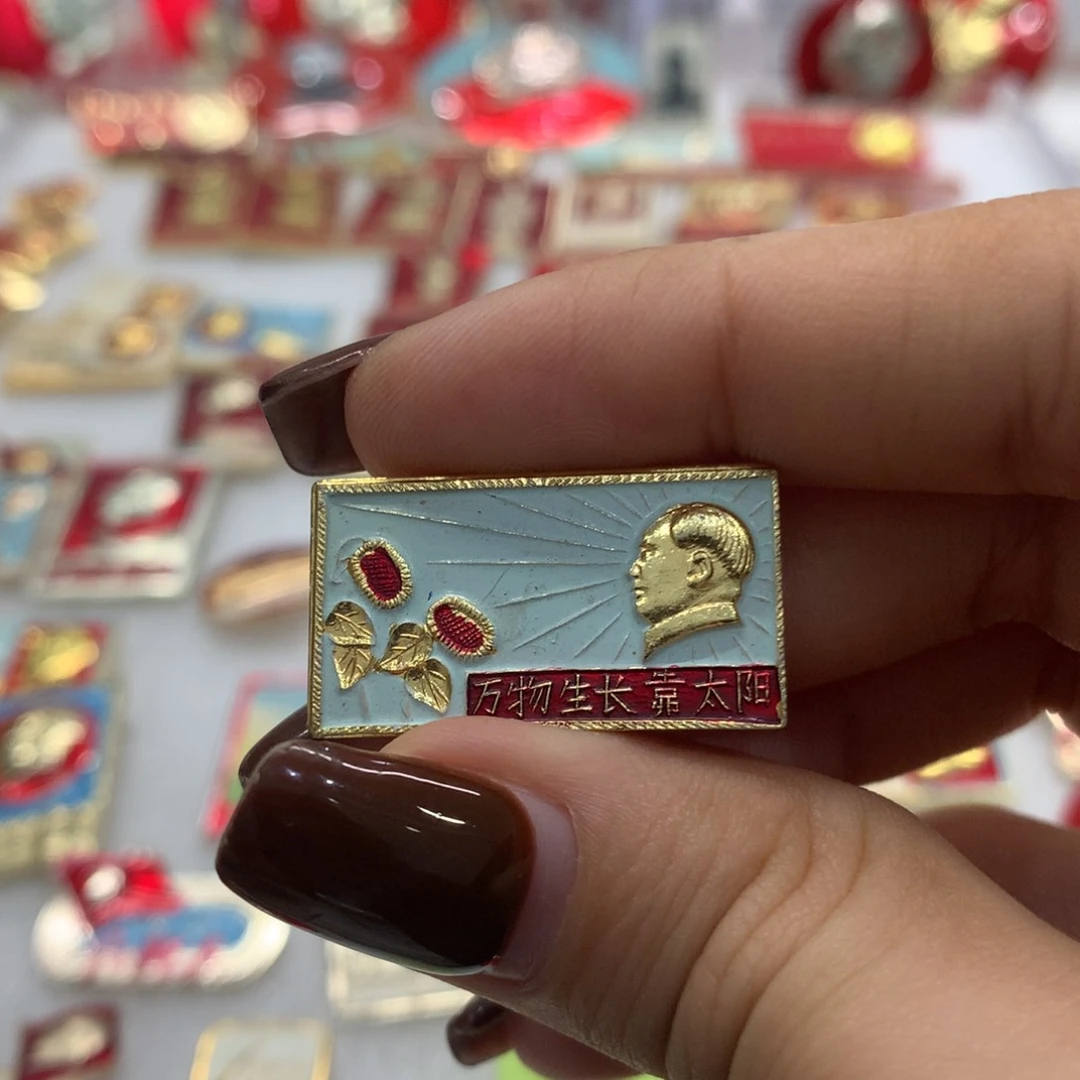 铝万物生长靠太阳 蓝彩