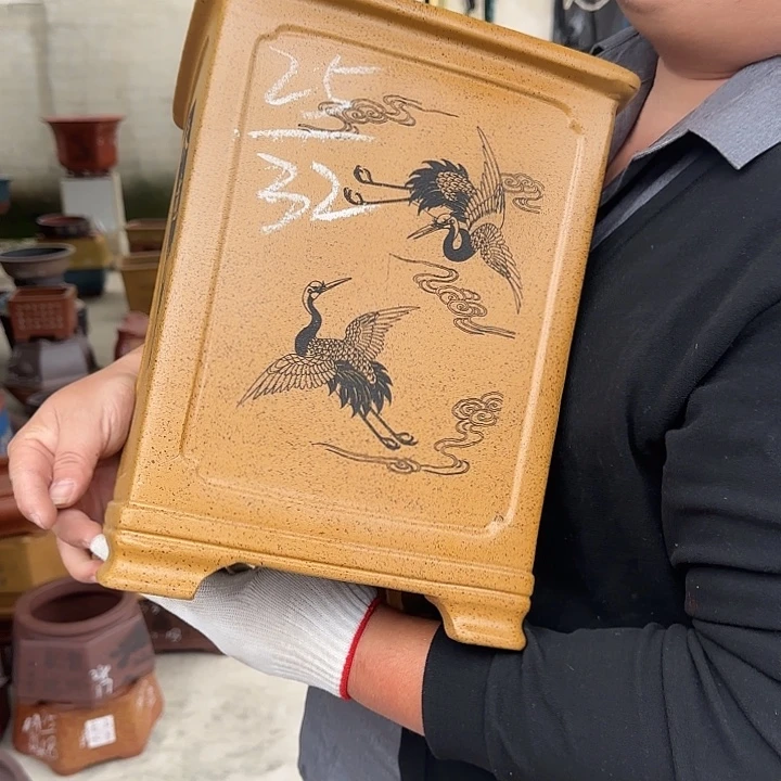 这是什么神仙爱情