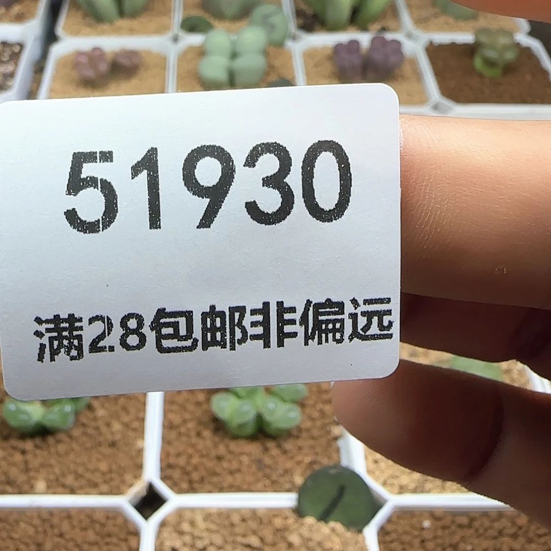 景****哈哈哈哈哈哈哈51930