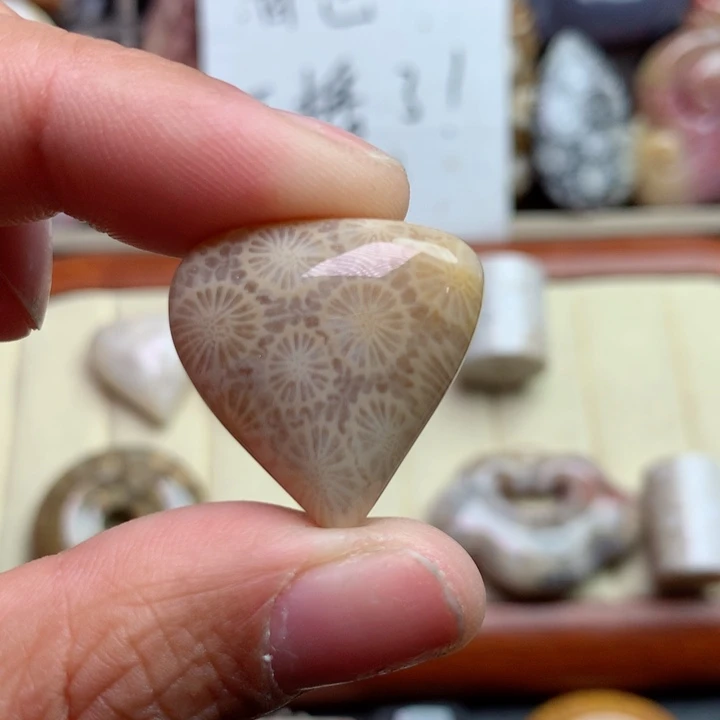 硅化珊瑚（珊瑚玉）颈饰未镶嵌