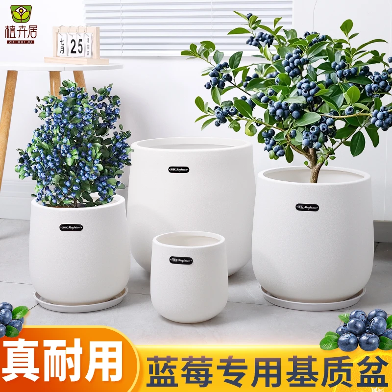 植卉居蓝莓专用基质盆月季花卉种植花盆蓝莓果树加厚透气盆栽花盆