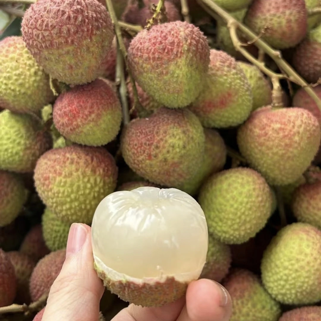 净重五斤 潮汕新鲜现摘【妃子笑】荔枝 顺丰包邮