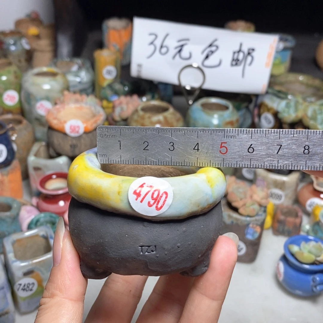 拍3送一个小礼物