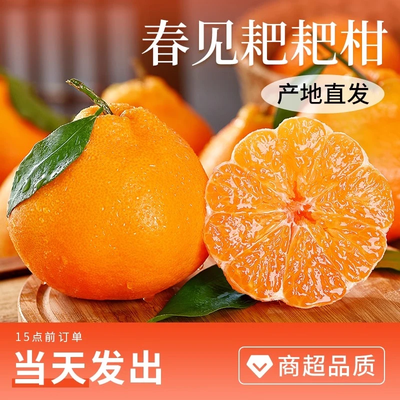 四川春见耙耙柑时令新鲜水果当季整箱正宗丑柑橘子桔子粑粑柑水果