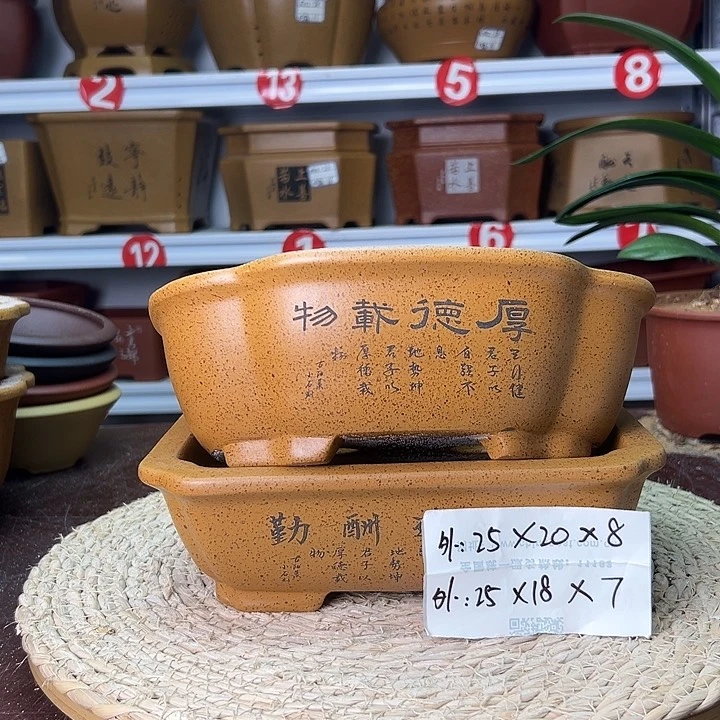 紫砂花盆蛇年大吉