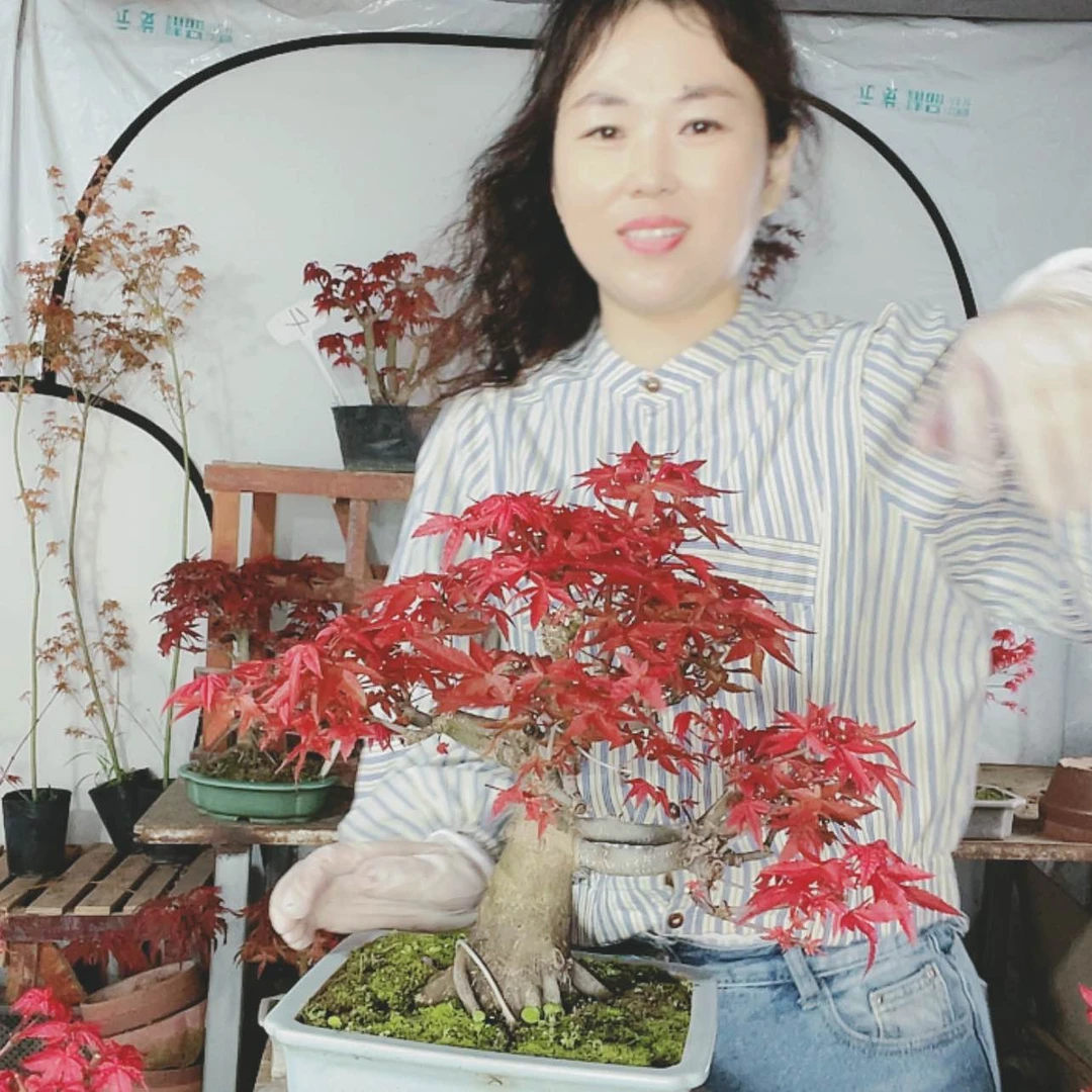 【闪购商品】完全开放张**师