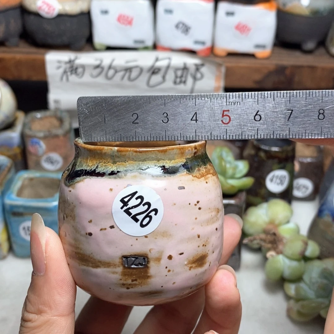 拍5送一个小礼物