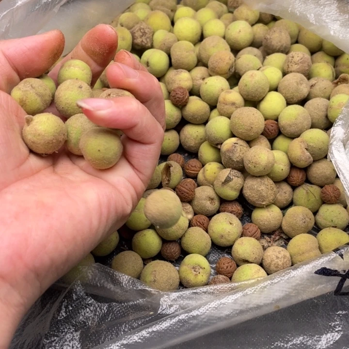 【闪购商品】核桃其他天***闻青皮发货160米不退不换