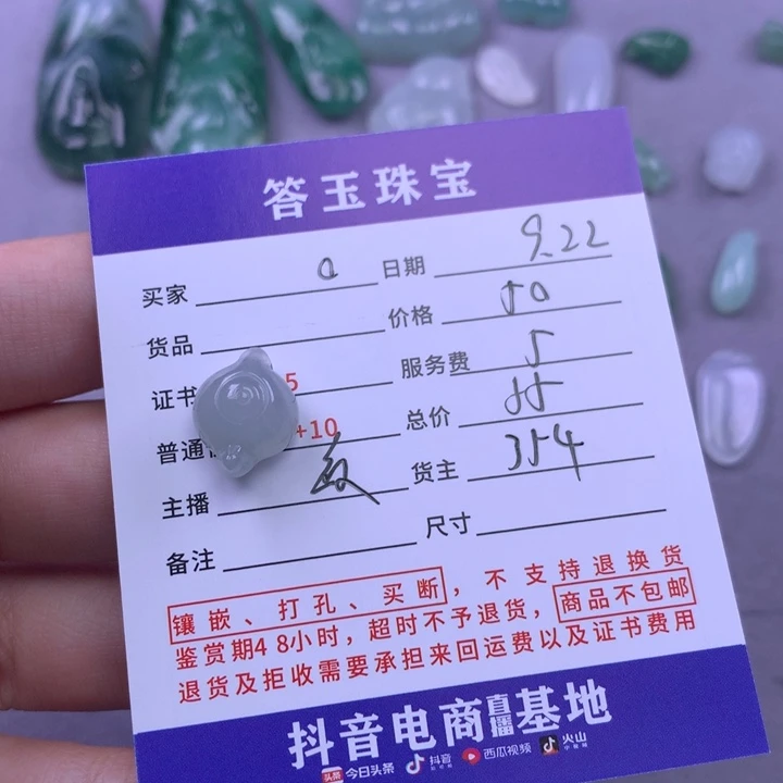 颈饰未镶嵌翡翠o