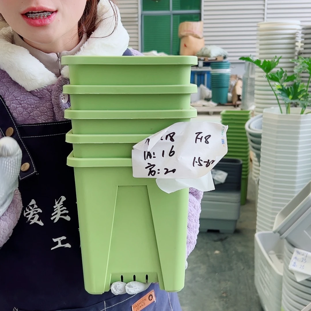方盆F18果绿5个无托