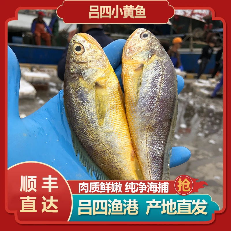 直播间现场称重挑选500-3000g（海鲜混搭）听清主播介绍再下单