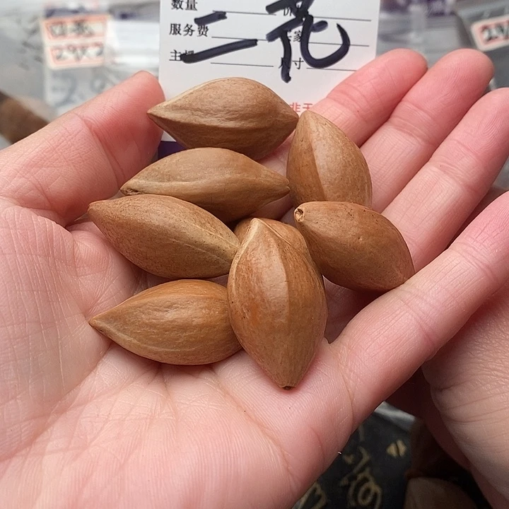手串/手链橄榄核%*橄榄核梅林铁核