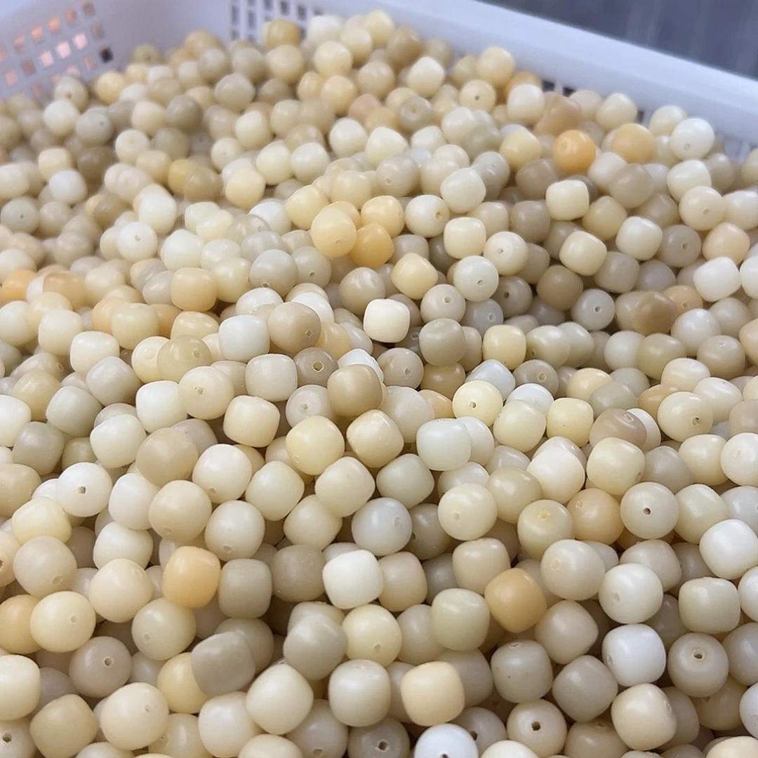 菩提根/象牙果手串10毛胚散珠150颗偶有瑕疵