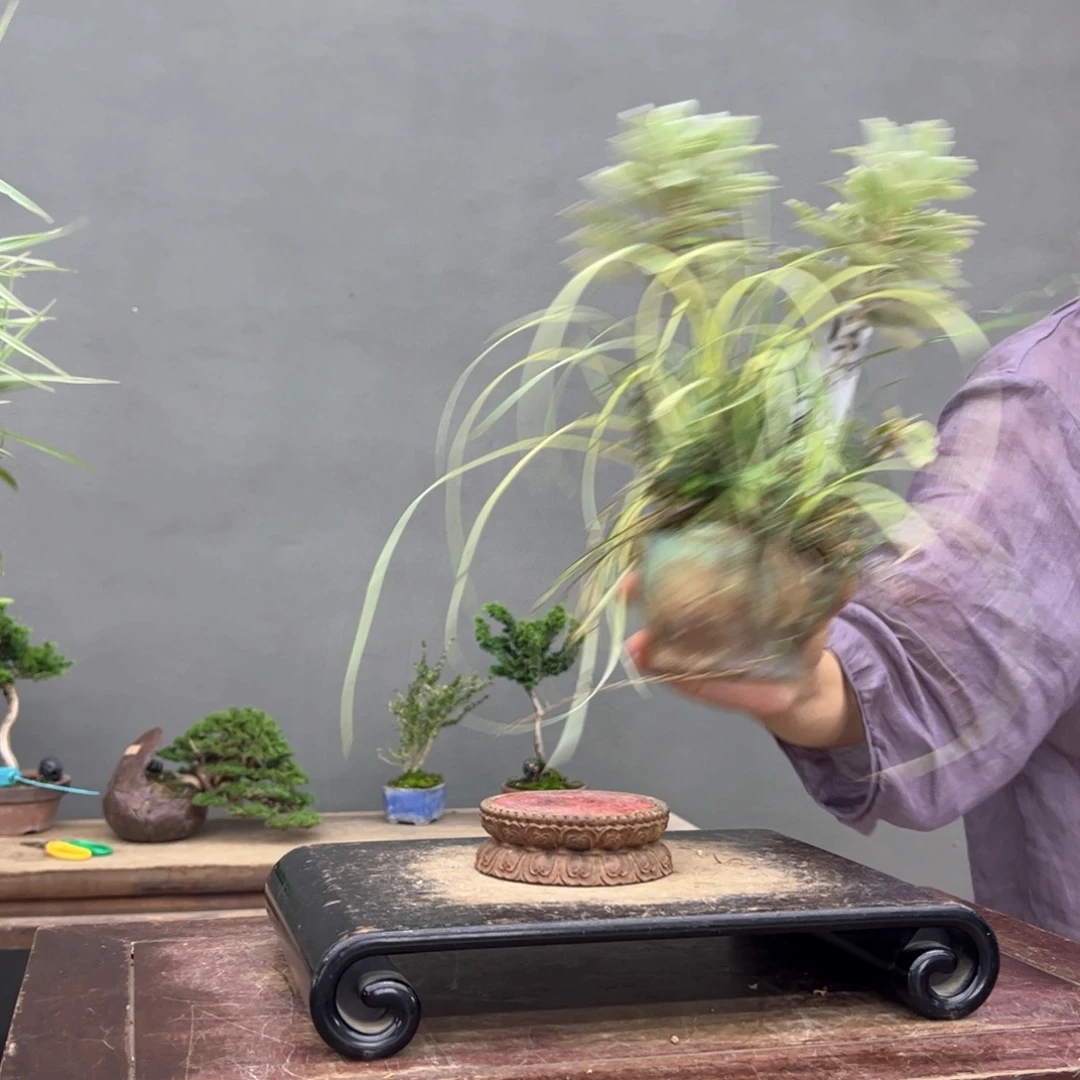 W***813顺丰到付。