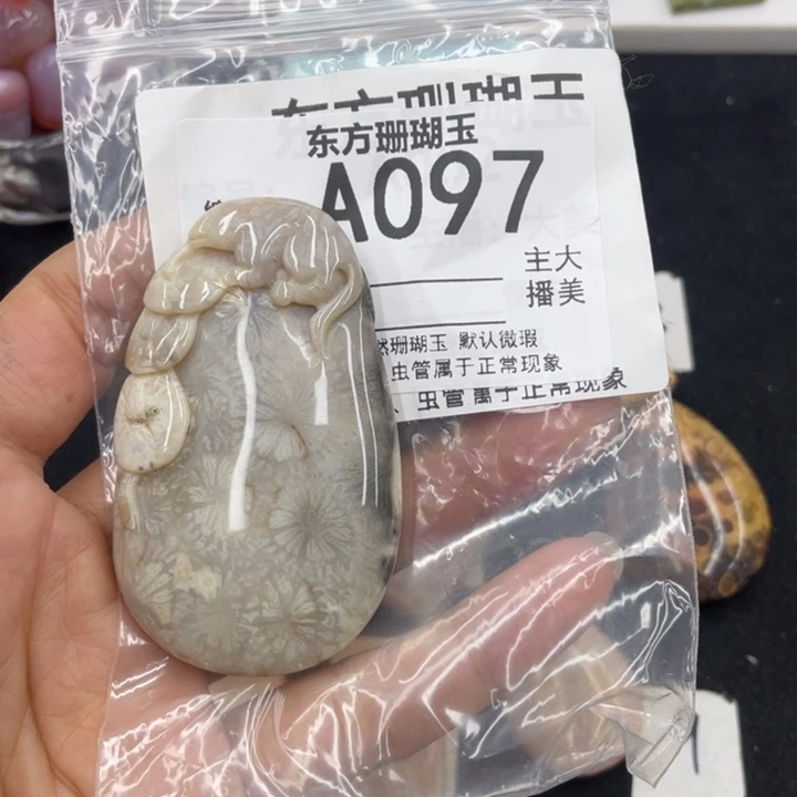 硅化珊瑚（珊瑚玉）颈饰合金