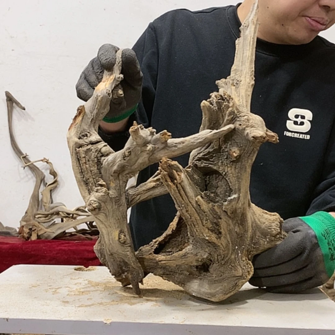 【闪购商品】柏木木****店我们都是好孩子