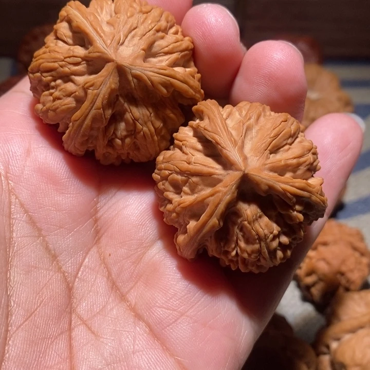 文玩核桃把件42粗筋御龙三棱