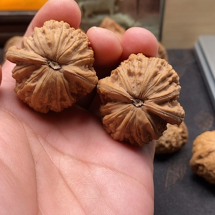 郑***海把件文玩核桃蛟龙全品