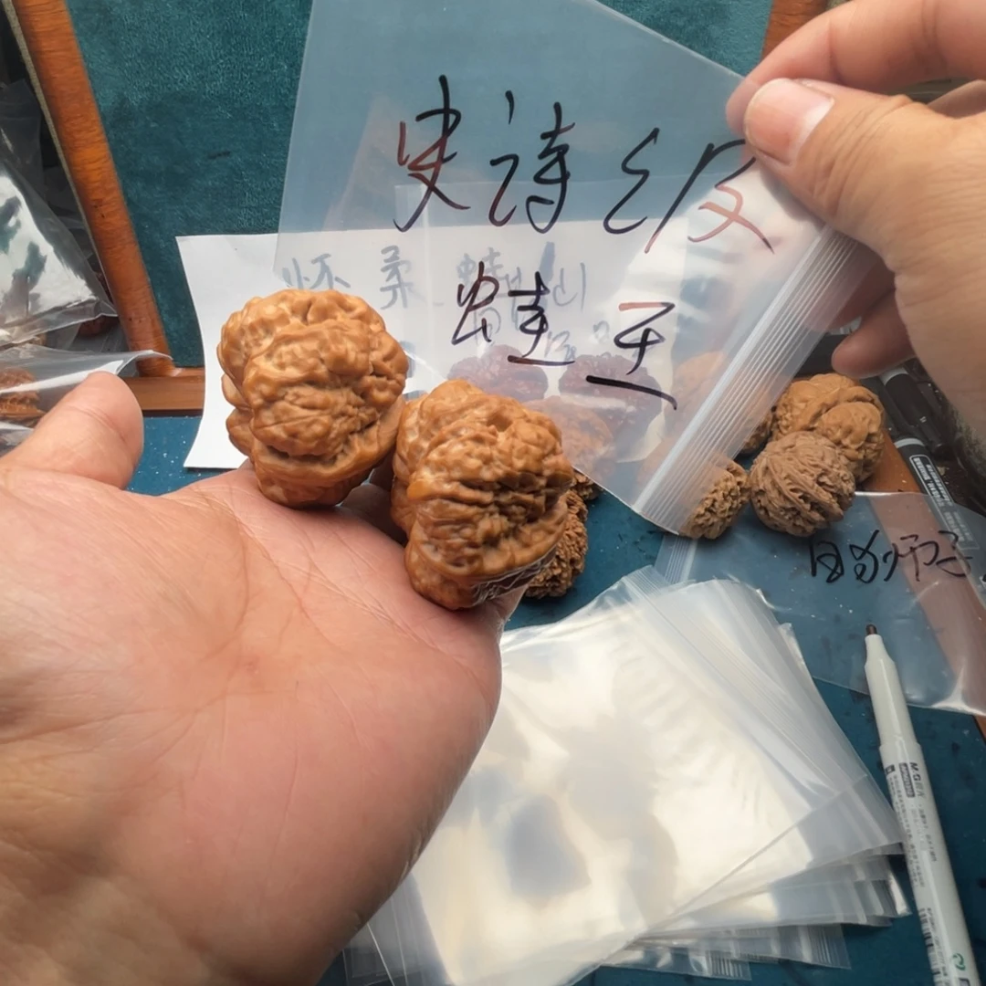 核桃77357357535737375537