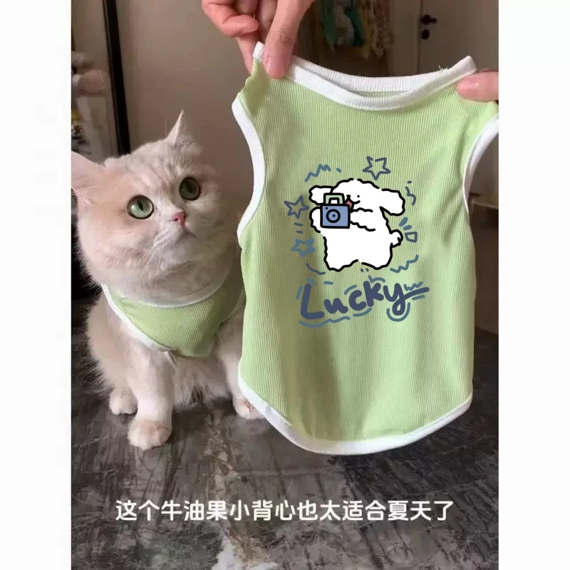 猫咪衣服防掉毛夏季薄款布偶蓝猫金渐层可爱猫猫印花背心小型犬