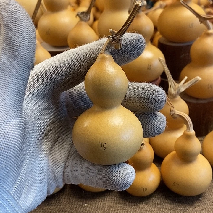 文玩葫芦 完美主义者 慎拍75