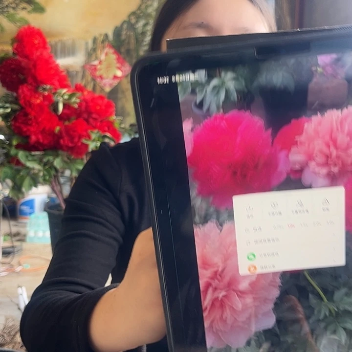 无花朵御前表演芍药