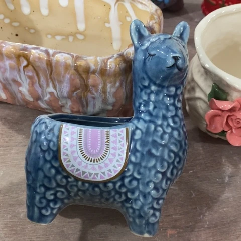 羊驼歪的，的，的，的，的，