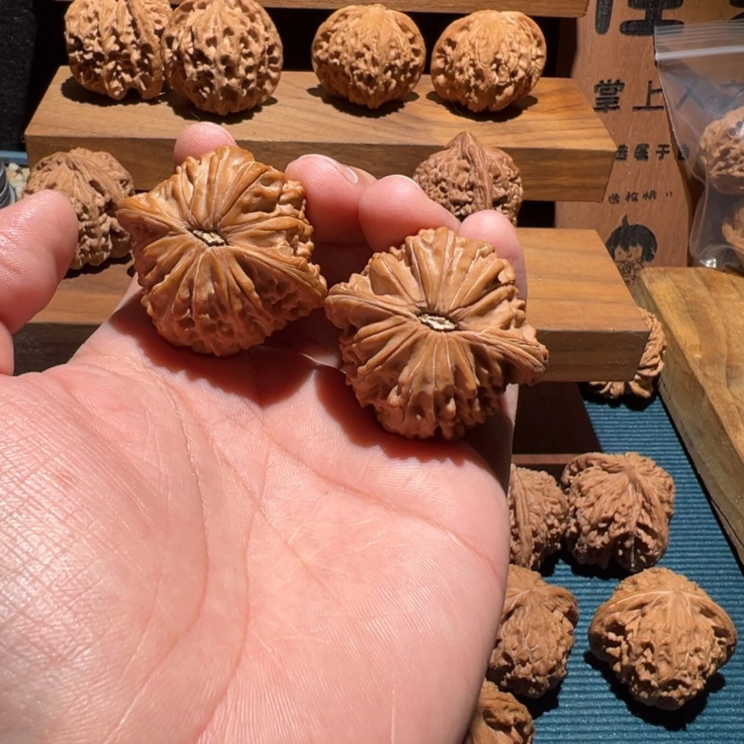 网***云核桃全品 41 橘红 山地磨