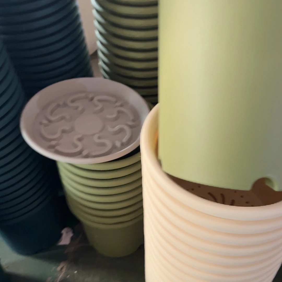 树脂四季7号无托10个果绿