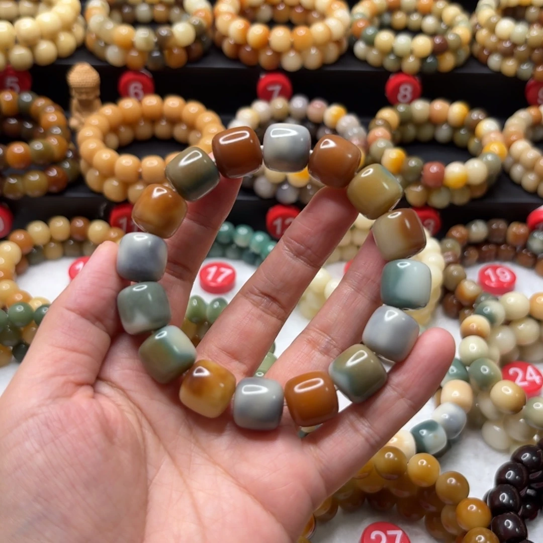 手串菩提根/象牙果