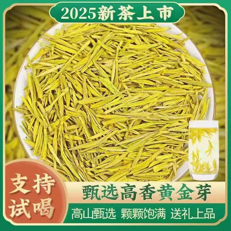 （黄金芽浓茶耐泡）2025新茶春茶浓豆香珍稀白茶绿茶豆香罐装嫩芽