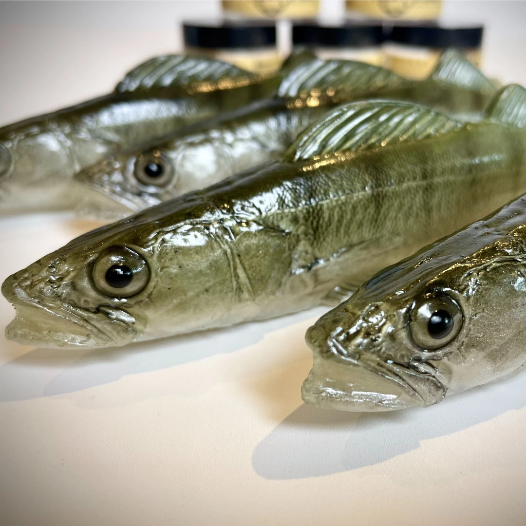 TOMY’S BAIT 大河系列拟生饵纯手工路亚软饵拟真鱼形饵欧洲手做