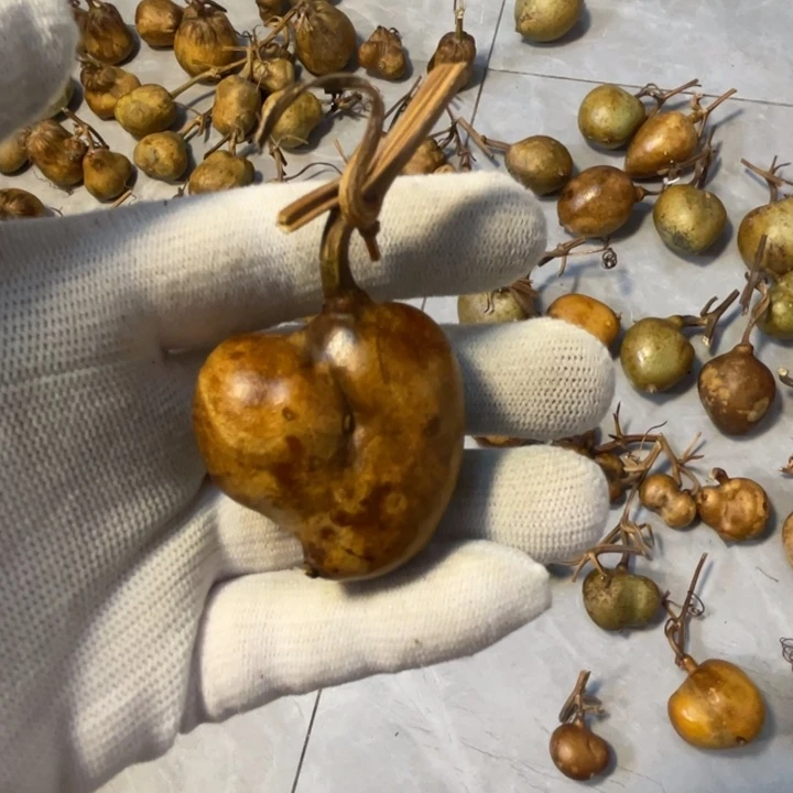 闲***闲葫芦葫芦葫芦葫芦