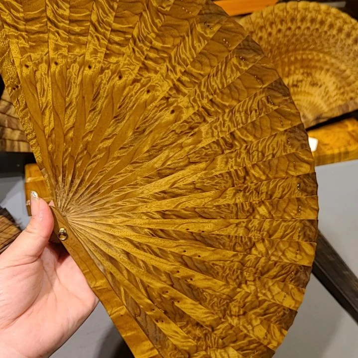 金丝楠21小叶桢楠金丝楠木苏扇