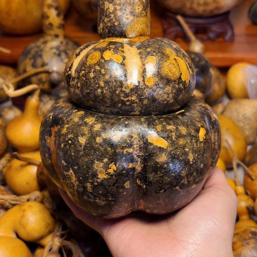 半***衩葫芦葫芦葫芦葫芦葫芦